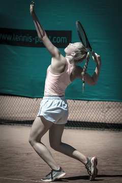 Ausschnitte 1916 - Witthoeft Cup